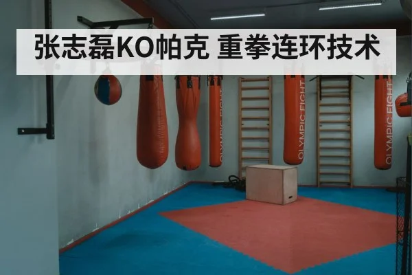 张志磊KO帕克 重拳连环技术